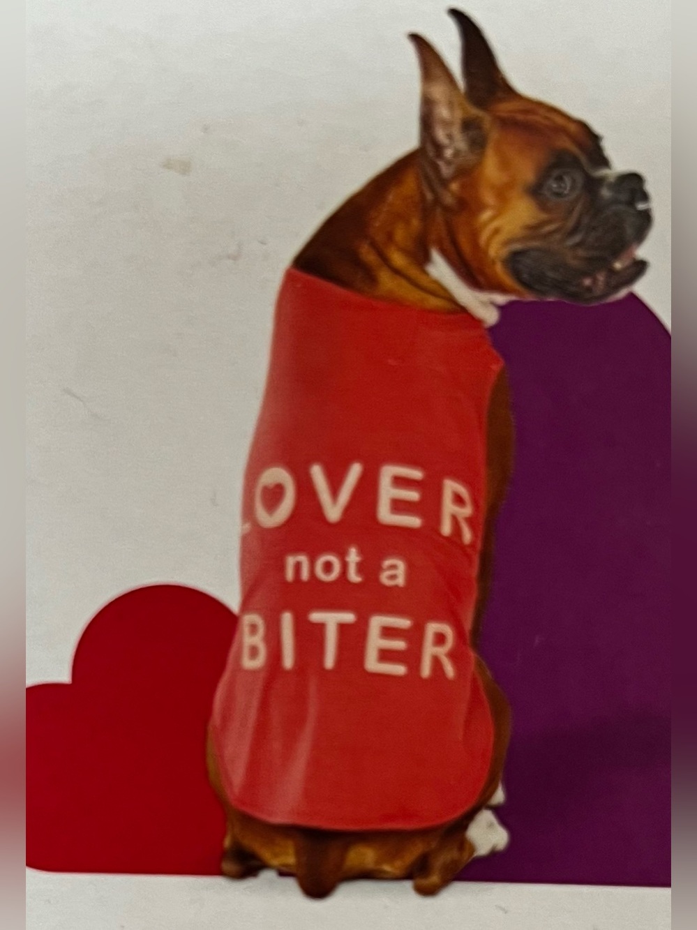 Lover not a biter dog tank top